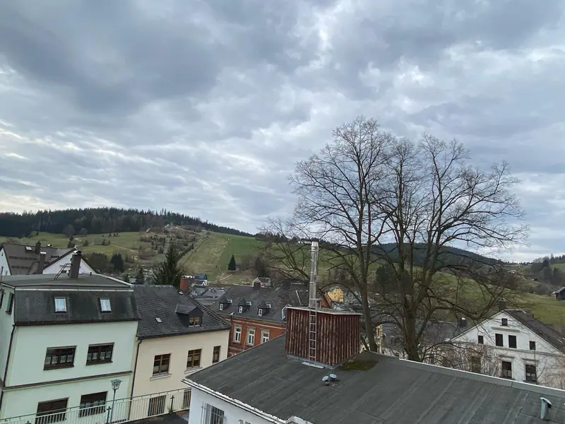 Ausblick vom Hotel über die Dächer von Eibenstock auf die bewaldeten Hügel